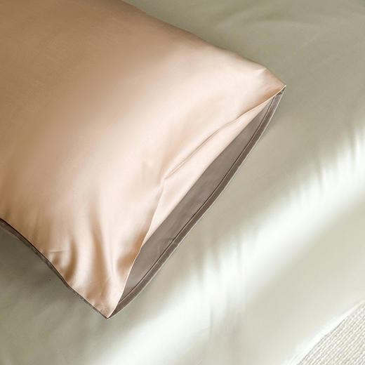 自然醒60支兰精天丝纯色双拼单品枕套HS 商品图2