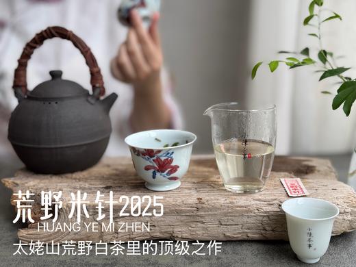 【极致之鲜】2025荒野米针带来白茶顶流的毫香诱惑，细柔、软糯、清润，每一口都是春天 商品图9