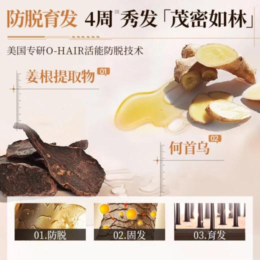 OHBT首乌生姜健发亮泽洗发水500ml 商品图2