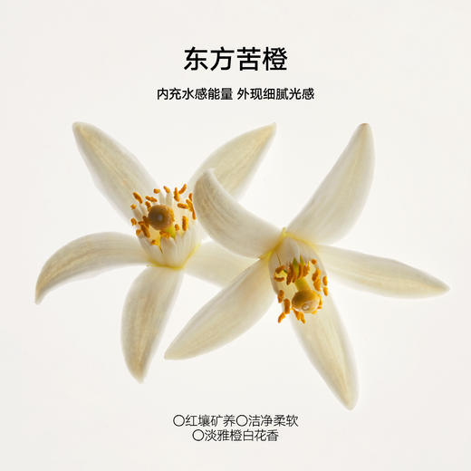 DAISY SKY雏菊的天空丨苦橙花纯露318ml 商品图2