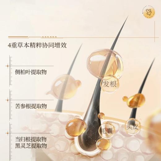 OHBT首乌生姜健发亮泽洗发水500ml 商品图3