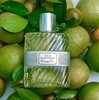迪奥Dior清新之水清新果香木质调淡香水EDT100ml 商品缩略图1