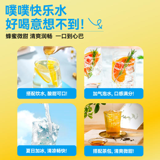 [汪氏官方]汪氏润畅素蜂蜜制品活性益生元滋养健康品牌便利蜜270g 商品图4