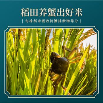 盘锦大米东北大米蟹田大米 珍珠米20斤真空锁鲜 /粮油调味 /米 /珍珠米 商品图1