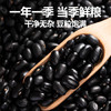 北纯 有机黑芸豆2.8斤/罐（小豆 杂粮 五谷粗粮 肾形豆 豆子） /粮油调味 /杂粮 /杂豆类 商品缩略图3