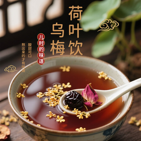 【粮药LY】乌梅荷叶饮好喝酸梅汤夏季清爽常备冷泡