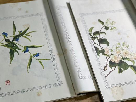 诗情画意之美 绘刻印之上乘 —《百花诗笺谱》 商品图5