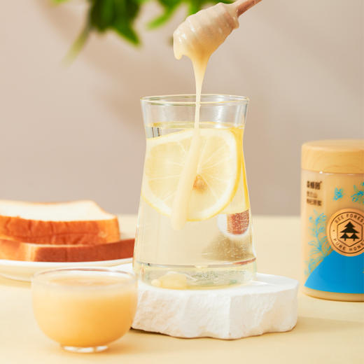 森蜂园贺兰山枸杞原蜜550g 商品图2