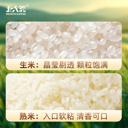 北大荒  珍珠米(碗稻系列)两面真空  2.5kg 商品图2