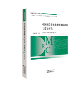 中国保险市场系统性风险识别与度量研究