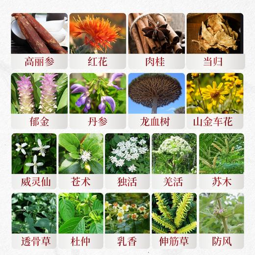 【日本进口肩颈贴】一贴＞10次拔罐 舒缓放松 穴位贴  日本公立机构指定 商品图2