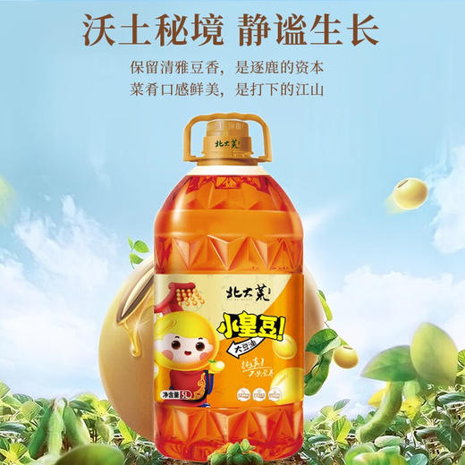 北大荒  小皇豆三级大豆油  5L 商品图0