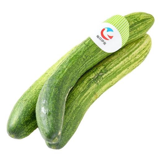 每日伊藤燕白黄瓜500g 商品图1
