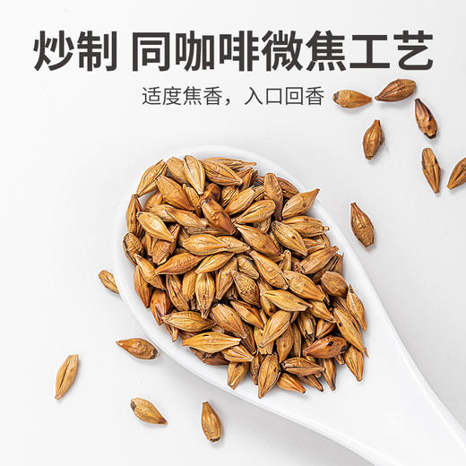 【方家铺子大麦茶】500g*1瓶 严选成熟大麦 浓郁麦香 醇厚美味 商品图4
