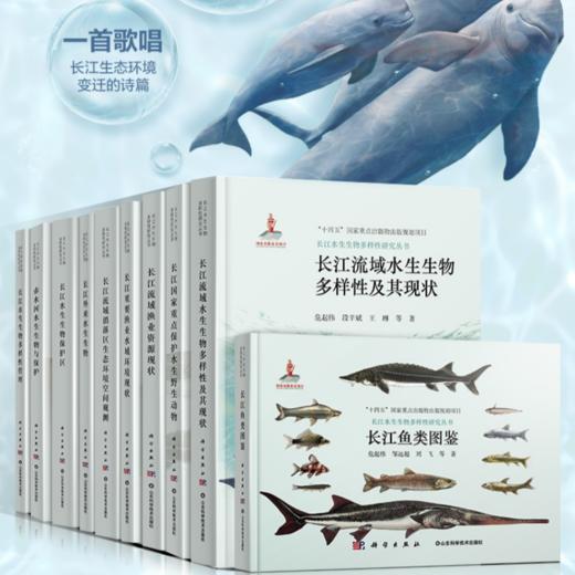 《长江鱼类图鉴》守护长江生命线：水生生物与生态保护全鉴系列 官方正版 -分销 商品图1