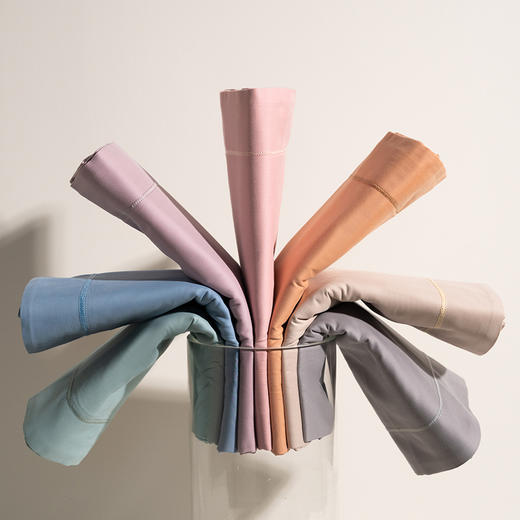 自然醒100支全棉磨毛纯色轻奢宽边枕头套枕芯内胆套HS 商品图7