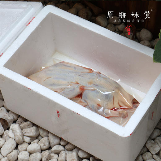 【预售 4月7日左右发】生态老麻鸭/鸭子【基地直发-顺丰包邮】 | 来自四川金堂，生产者：韩建斌【合作生产，公平贸易】 商品图4