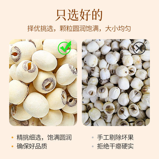 燕之坊莲子200g 磨皮莲子干货去芯莲特产无芯莲百合银耳莲子羹 商品图2