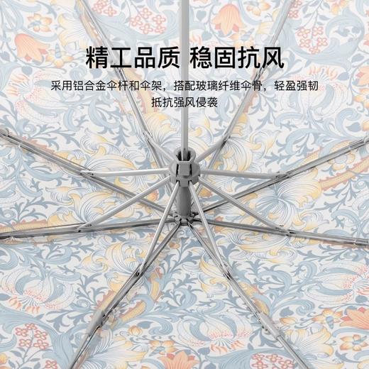 Fulton 富尔顿FULTON英国进口MORRIS金百合雨伞防晒 商品图2