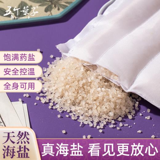 【新品】电加热盐袋海盐理疗袋子粗盐热敷包艾灸艾草肩颈椎腰部带家用盐包 商品图4