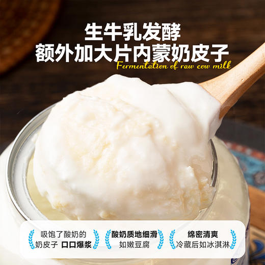【内蒙古欧若姆奶皮子酸奶】活菌鲜酸奶 采用内蒙传统发酵工艺 每勺约有42亿活性益生菌AA 商品图2