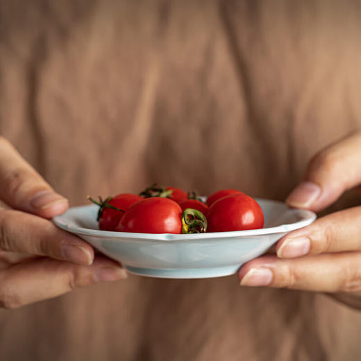 【迷你海浪六瓣碟】陶瓷小号糕点碟点心盘茶室禅意茶点盘子复古精致零食小吃味碟杯垫 商品图7