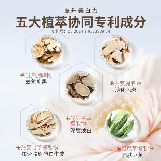 【所有会员可享】儒意美白面膜5片｜提亮肤色 ,保湿补水 (订单满29元可联系客服随单寄出) 商品图6