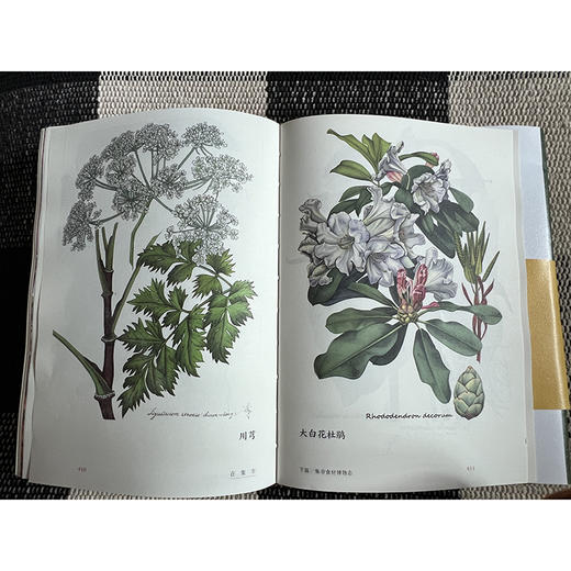 在集市：昆明篆新农贸市场的博物日常(自然感悟丛书) 商品图8