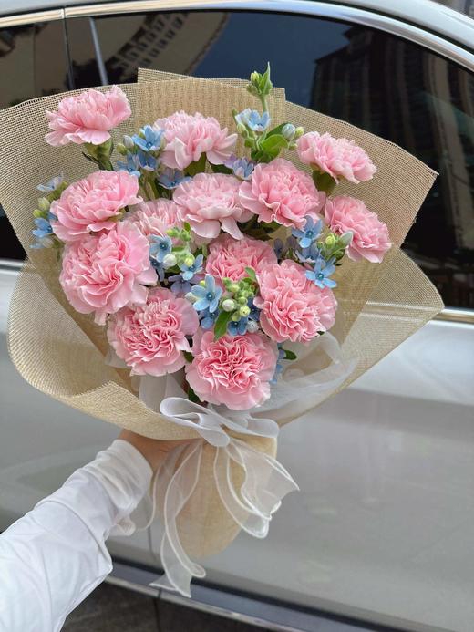 【予你】粉色康乃馨15支+蓝星花5支 商品图2
