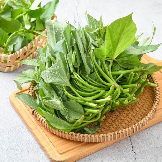 每日伊藤苕尖300g 商品图0