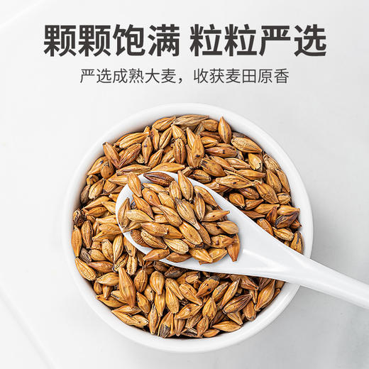 【方家铺子大麦茶】500g*1瓶 严选成熟大麦 浓郁麦香 醇厚美味 商品图5