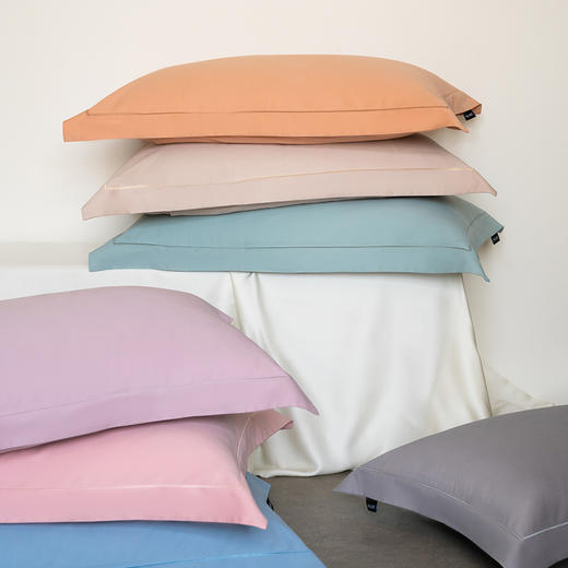 自然醒100支全棉磨毛纯色轻奢宽边枕头套枕芯内胆套HS 商品图0