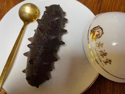 现发海参60-70g/头 商品图1