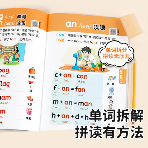 【双十一大促】自然拼读记单词一本通小学英语新教材音标单词汇总 商品图1