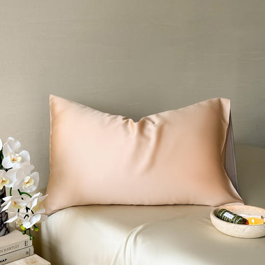 自然醒60支兰精天丝纯色双拼单品枕套HS 商品图0