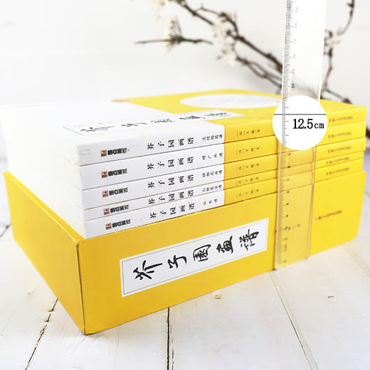 芥子园画谱全集精装版 画传白话文精装正版包邮人民美术出版社芥子园王概著巢勋临本山水花鸟人物工笔画技法国画入门基础教程 商品图7