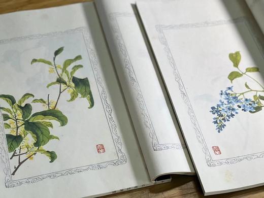 诗情画意之美 绘刻印之上乘 —《百花诗笺谱》 商品图4