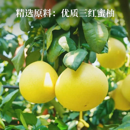 【米马团购】食味的初相 三红柚子干80g*3袋/5袋 商品图3