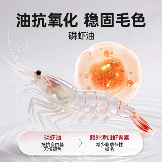 佐愈日护系列宠物营养补充剂3in1美毛油犬猫通用 商品图3