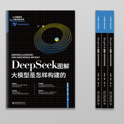 DeepSeek图解：大模型是怎样构建的 张治政 薛栋 公鑫 著 北京大学出版社 商品图4