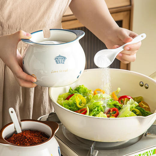 【双耳猪油罐+滤网】陶瓷猪油罐家用耐高温带盖勺厨房油泼辣子罐大容量收纳调味料盐罐 商品图5