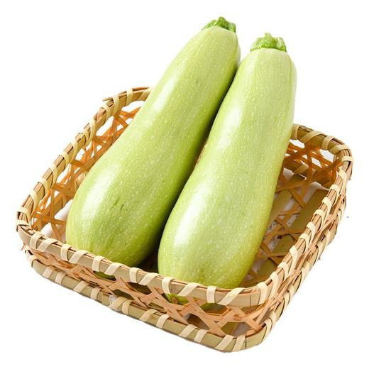 每日伊藤西葫芦瓜500g 商品图1