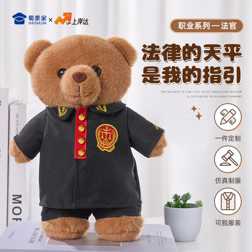 【法官站姿熊】可定制创意毛绒职业小熊公仔儿童玩具服装可脱送礼礼物 商品图0
