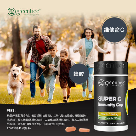 【香港直邮】増强免疫力舒缓感冒 正品 加拿大greentree维他命C+蜂胶(60粒) 商品图3