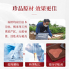 【日本进口肩颈贴】一贴＞10次拔罐 舒缓放松 穴位贴  日本公立机构指定 商品缩略图3
