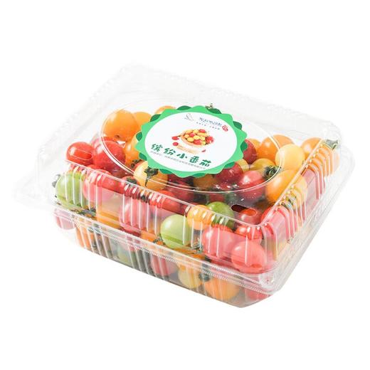 多彩番茄1.2kg 商品图3