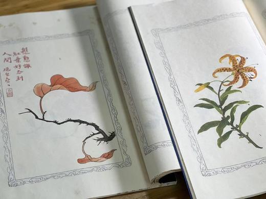 诗情画意之美 绘刻印之上乘 —《百花诗笺谱》 商品图7