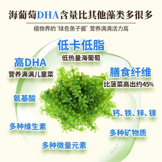 盐渍海葡萄4袋|植物界的“鱼子酱”，口感爽脆爆珠，咸鲜芳香 商品图4