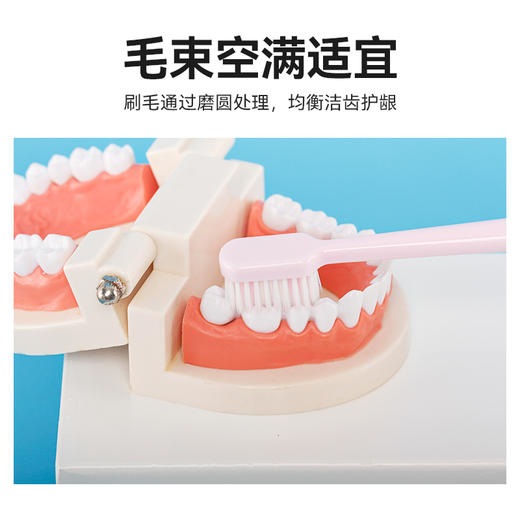 牙博士棉柔净护宽头软毛牙刷8支家庭装 商品图4