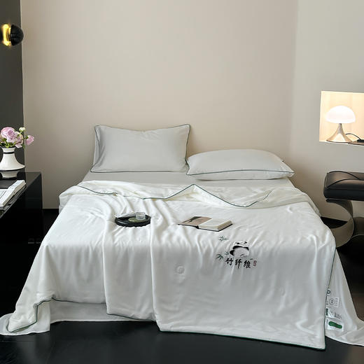 南方生活天竹刺绣蚕蛹蛋白夏被200*230cm熊猫白/冰咖/冰粉/绅士灰/冰蓝 商品图0